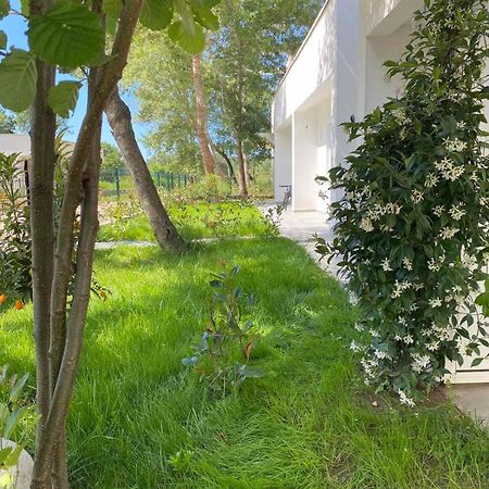 Villa Hanna Ulcinj Exterior photo